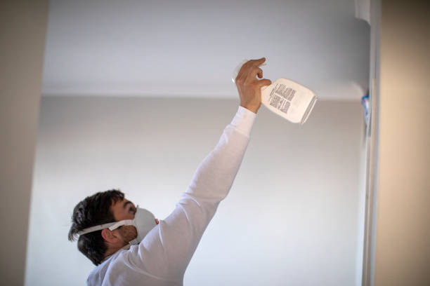 Best Mold Cleaning Services  in West Milton, OH